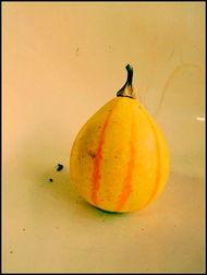 新沂瓦窑吃瓜,夏日吃瓜盛宴，感受乡村田园风情