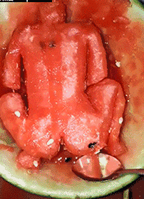 吃瓜群众动图gif,吃瓜群众表情包背后的故事