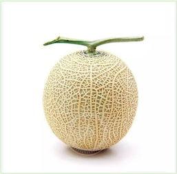 网纹瓜句子吃瓜