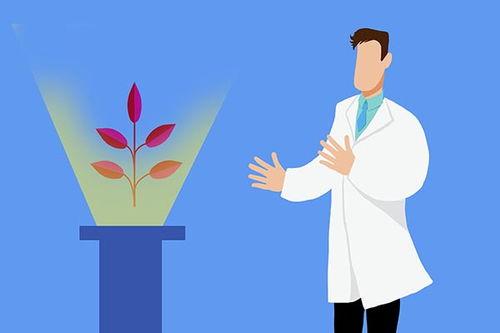 俗语走路吃瓜,笑谈瓜事——行走间的趣味人生