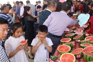 内黄吃瓜事件进展,真相逐步浮出水面，后续进展持续关注