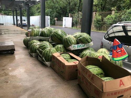 上海方舱吃瓜,见证抗疫一线的温馨瞬间