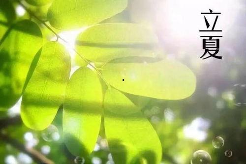 立夏吃瓜么,传统习俗中的美食探寻