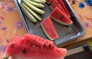 瓜州旅游吃瓜购物,畅游瓜乡，尽享美食购物盛宴