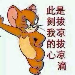 拦不住吃瓜群众图片,揭秘吃瓜群众的狂欢盛宴