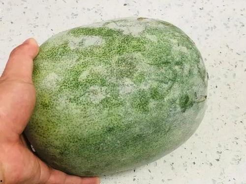 伏天不能天天吃瓜