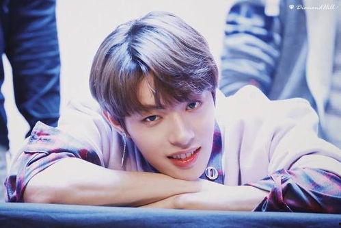 木子洋在线吃瓜,揭秘娱乐圈幕后风云