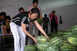 吃瓜博乐市,瓜果飘香，博乐美食之旅