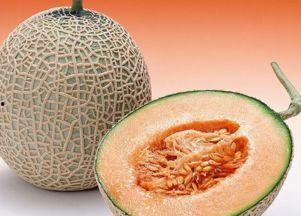 魏集吃哈密瓜视频,共享丰收喜悦