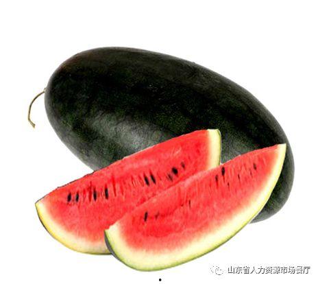 麦承欢酒店吃瓜,揭秘幕后真相与网络热议