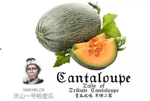 三号门吃瓜群众