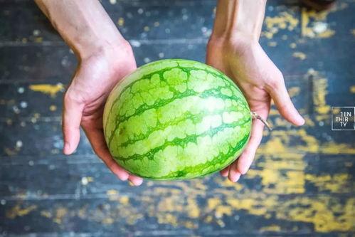 杀瓜吃瓜,杀瓜与吃瓜的智慧较量