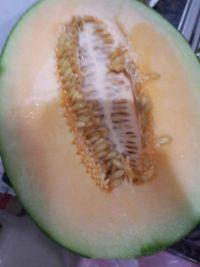 哈密瓜可以速冻吃吗